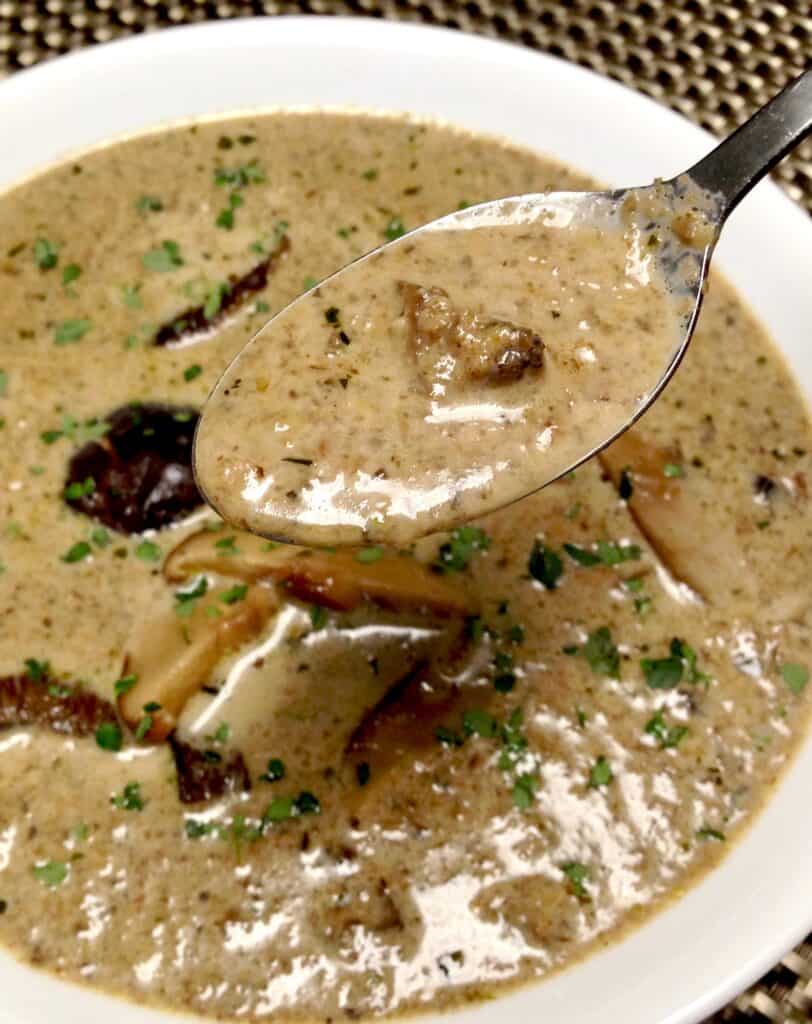 Cream of Wild Mushroom Soup in bowl with some on held spoon