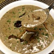 cream of mushroom soup in white bowl with spoonful