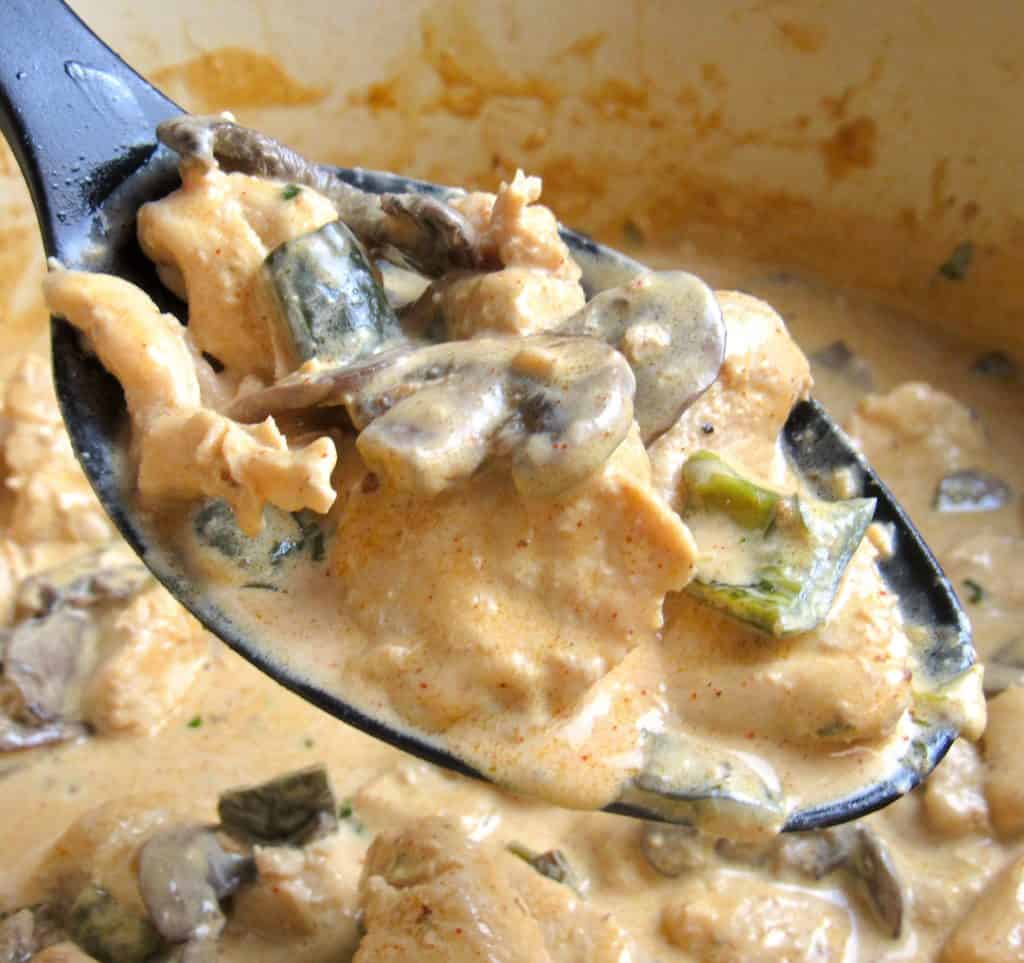 poblano chicken in large black spoon