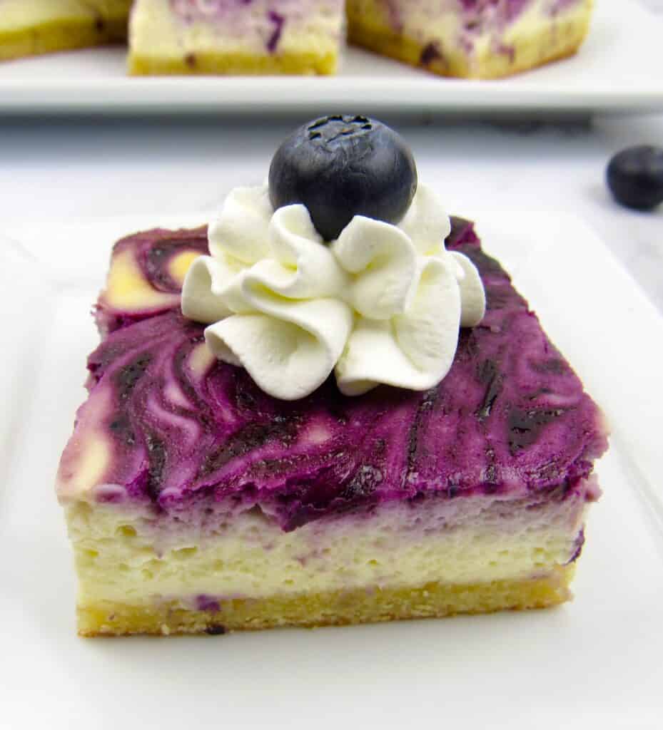 blueberry cheesecake bars with whip cream on top