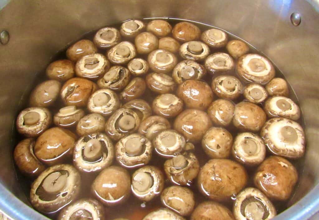 pot of boiled mushrooms