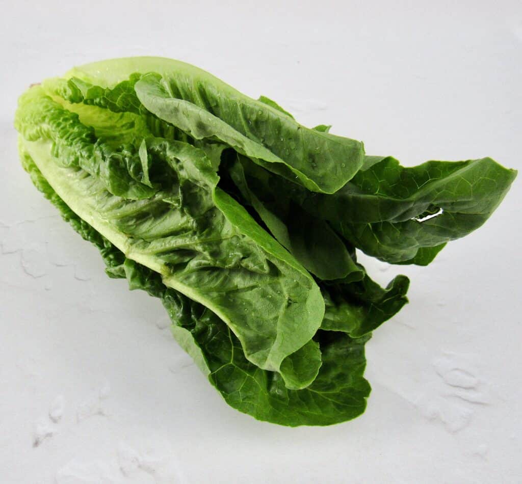 head of romaine lettuce