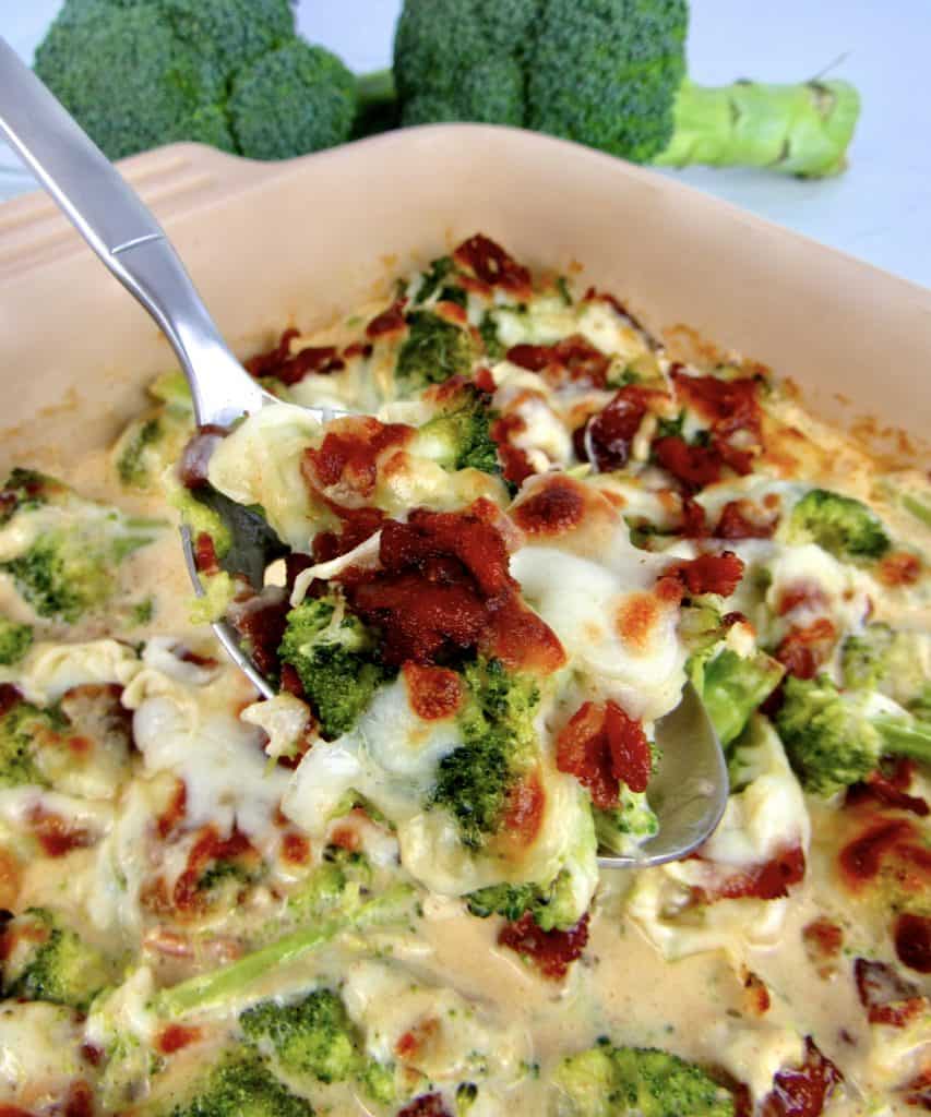 closeup of Broccoli Bacon Alfredo being held up with spoon