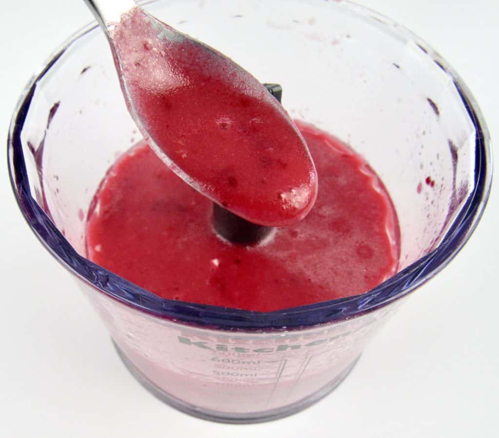 cranberry dressing in chopper with spoonful