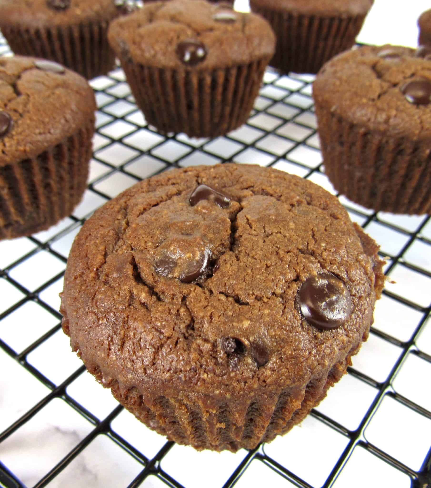 Keto Double Chocolate Muffins Keto Cooking Christian