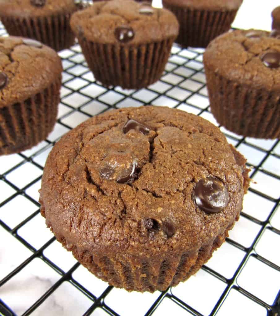 closeup of chocolate muffins with chocolate chips on top on cooling rack