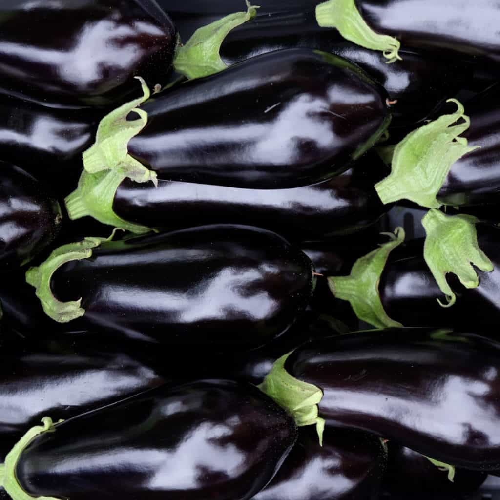 Eggplant