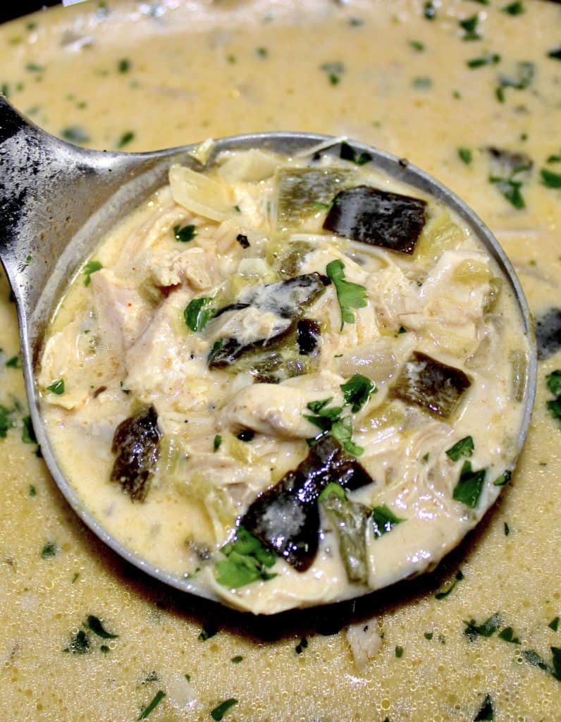 Chile Relleno Soup in ladle