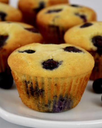 blueberry muffins on white plate with blueberries around
