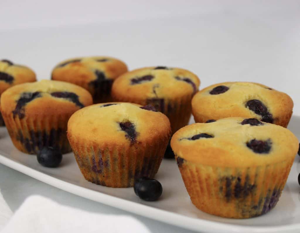 blueberry muffins on white plate with blueberries around