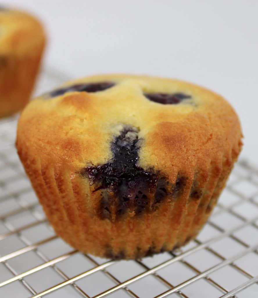 closeup of blueberry muffin on cooling rack