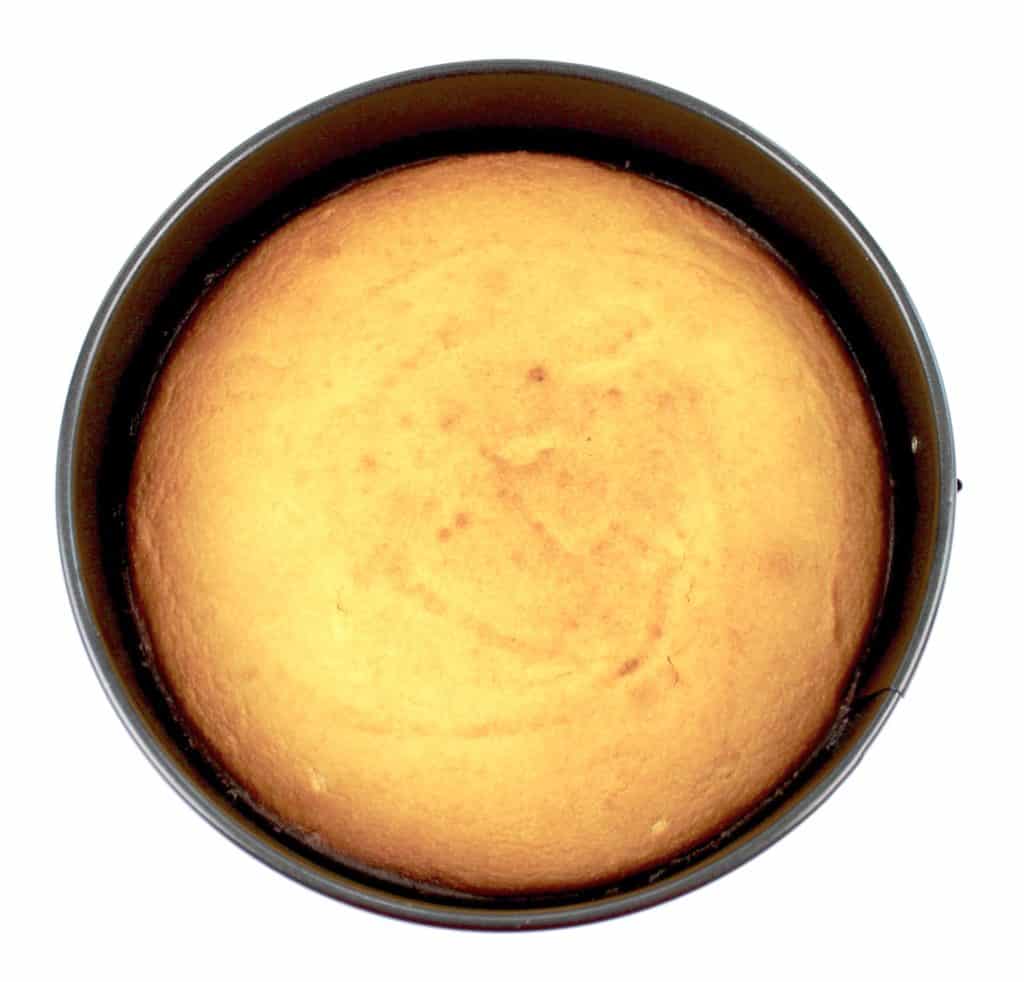 lemon ricotta cake baked in springform pan
