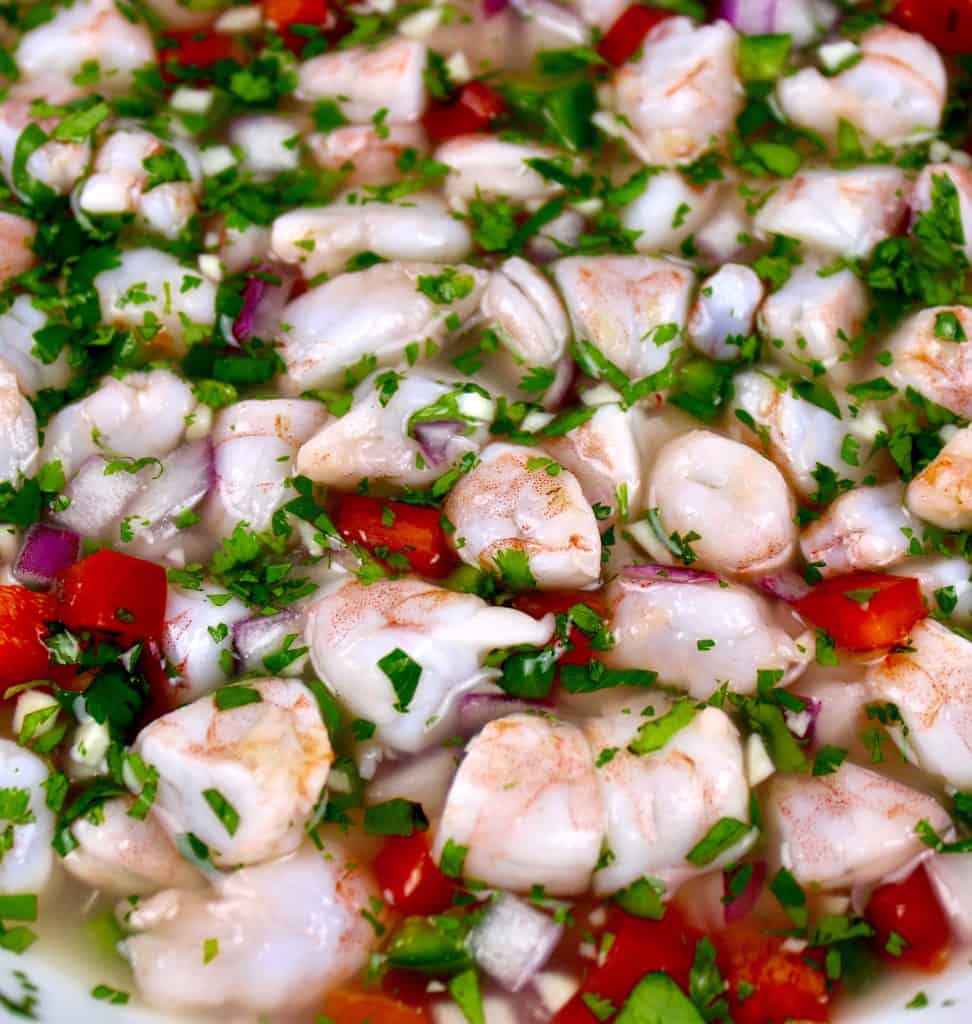closeup of Shrimp Ceviche