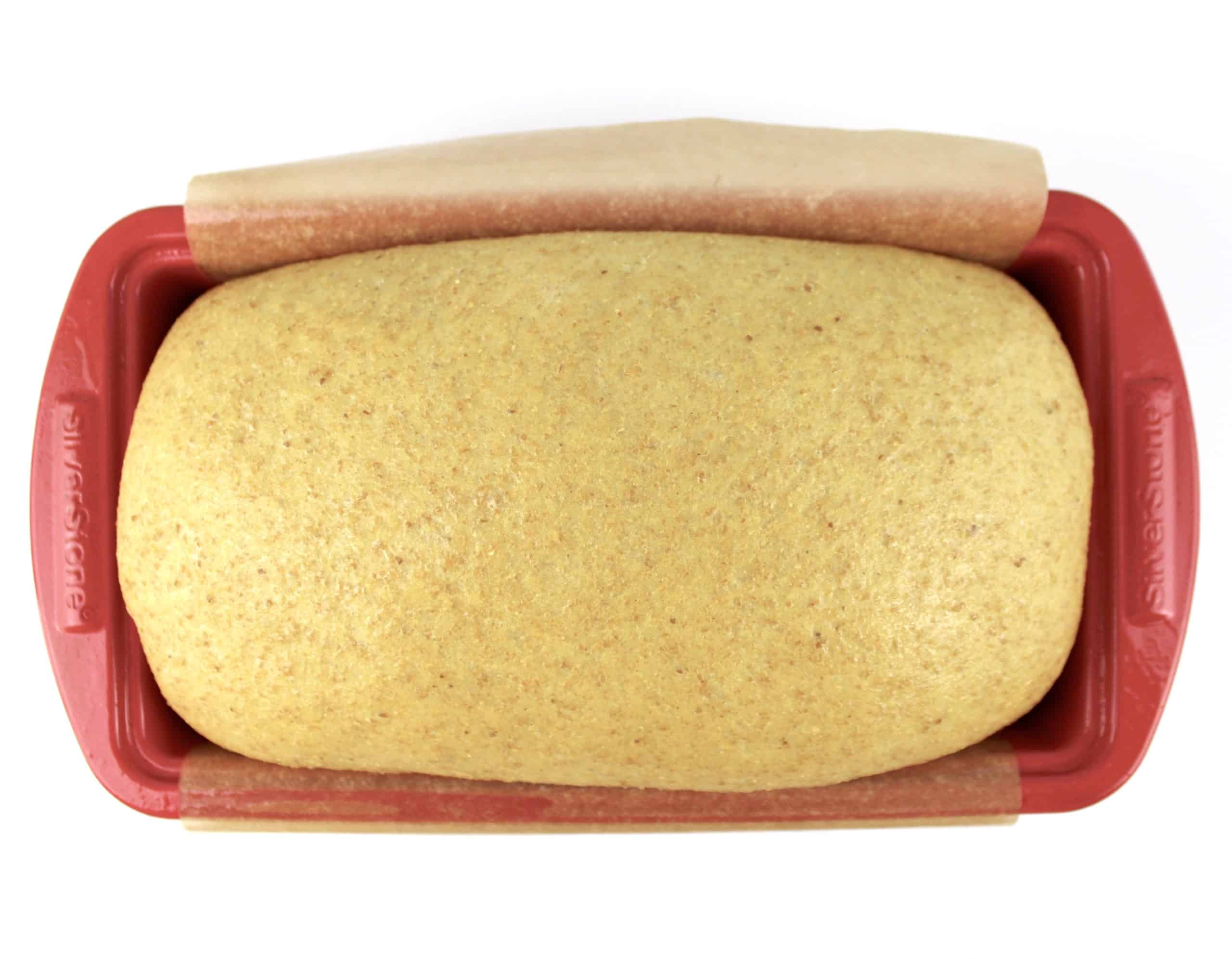 risen bread dough in red loaf pan