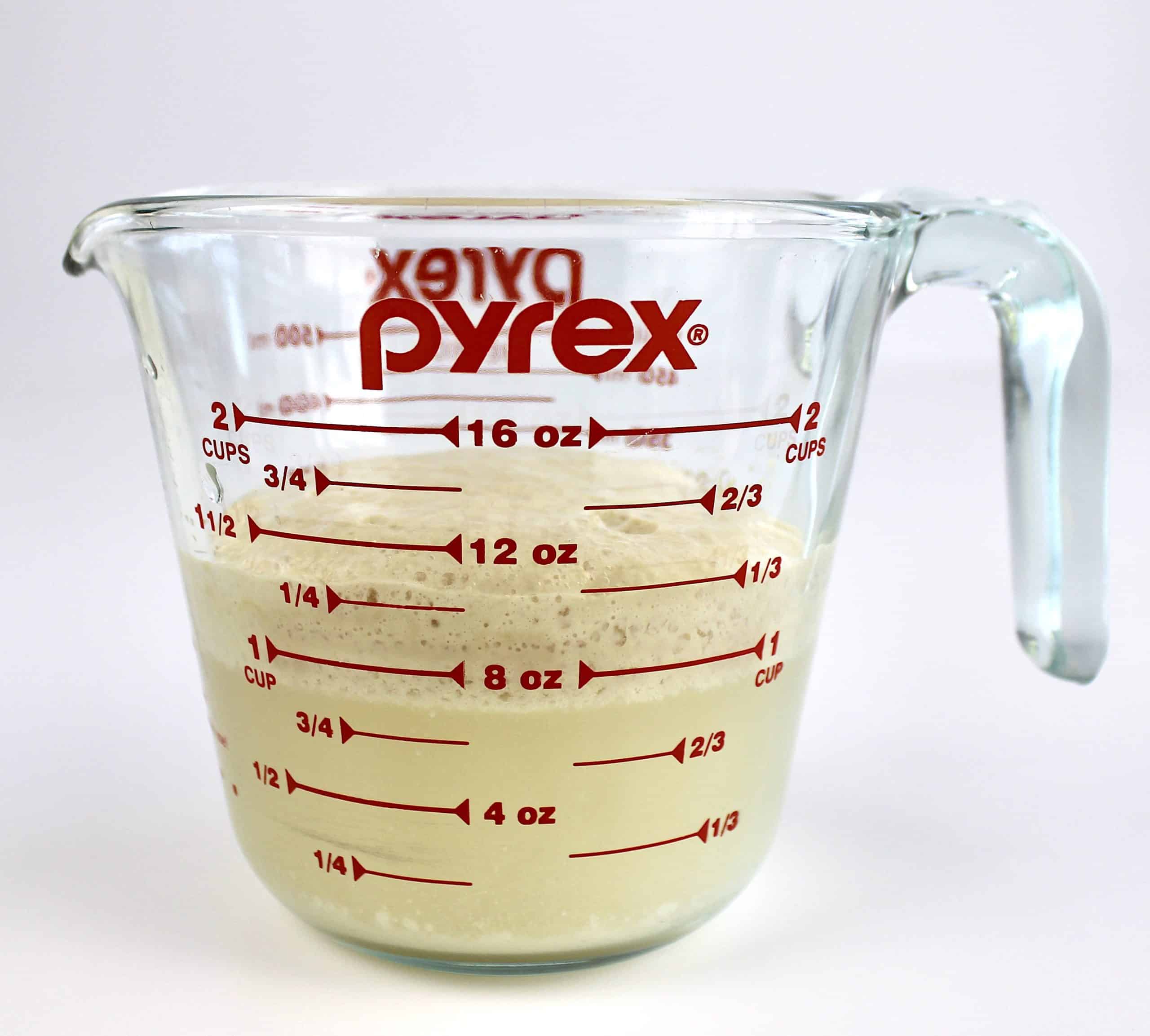 activated yeast water in pyrex measuring cup