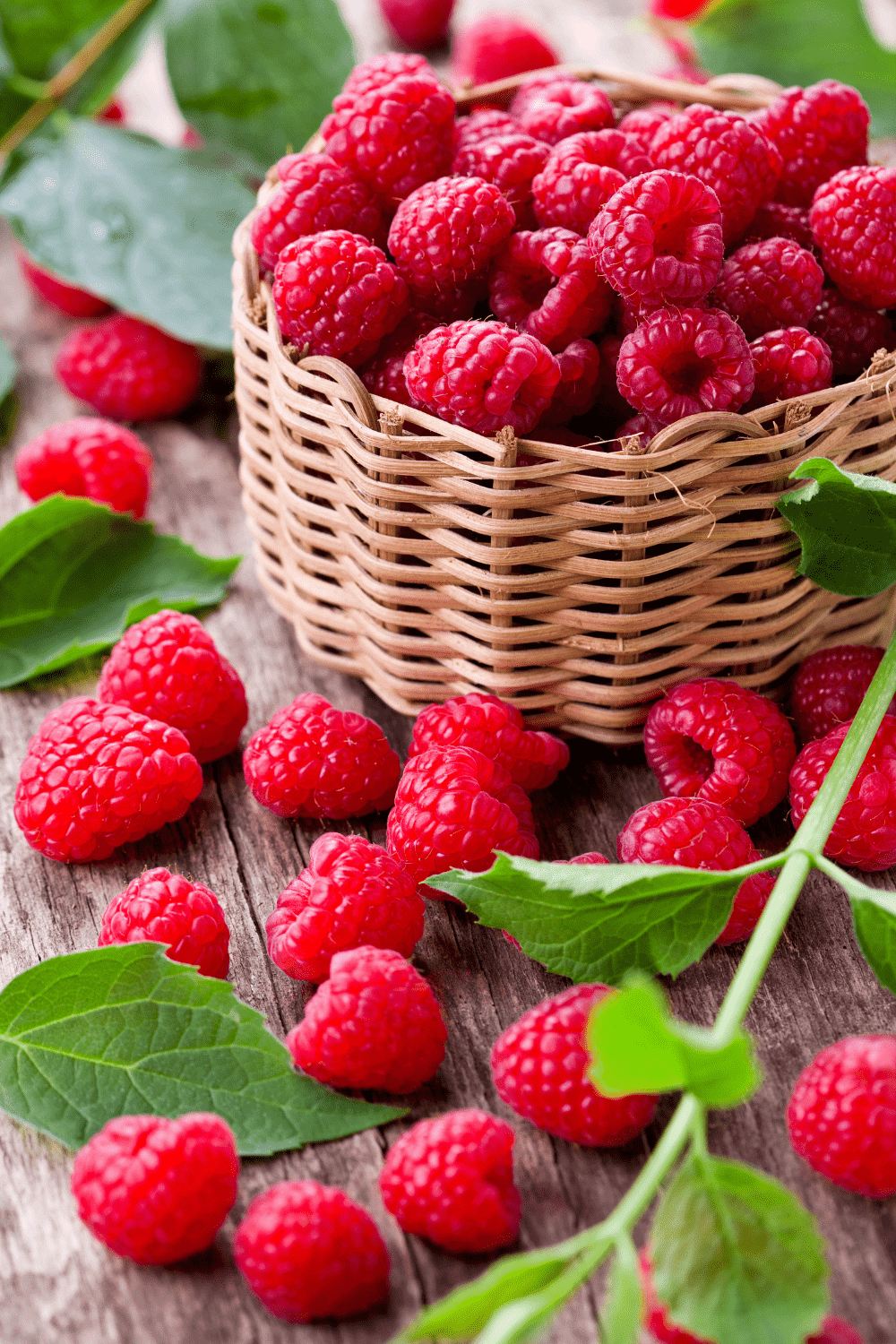 Raspberries in wicker basket with stems in background