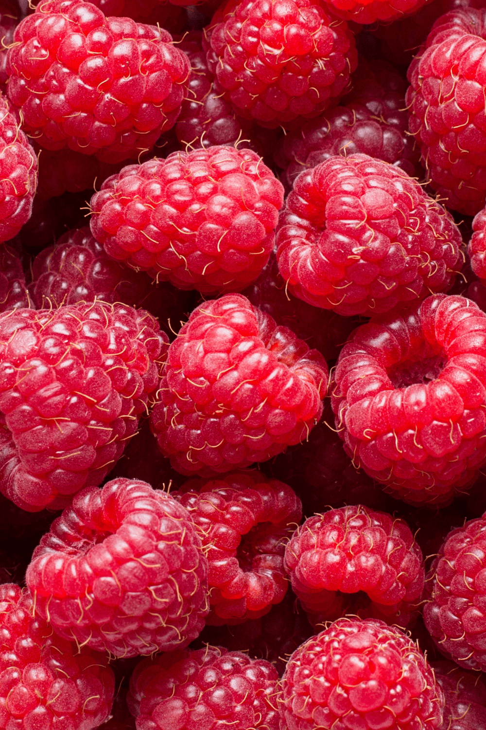 Raspberries