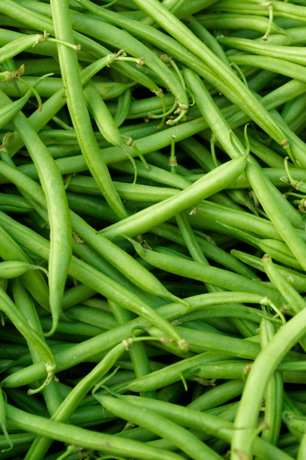 green beans