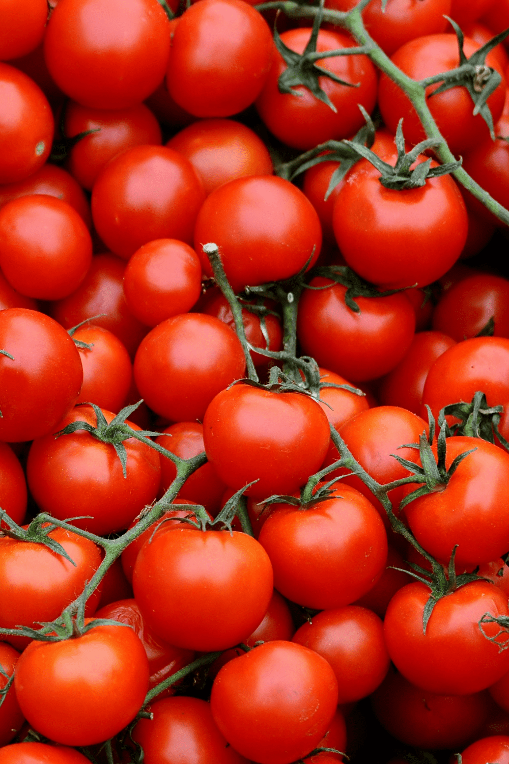Are Tomatoes Keto?
