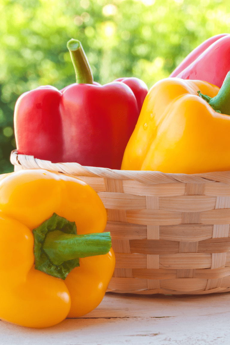 read and yellow bell peppers in wicker basket