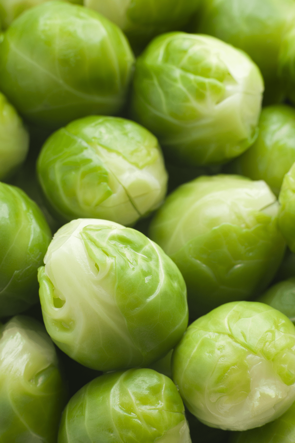 closeup of Brussels Sprouts