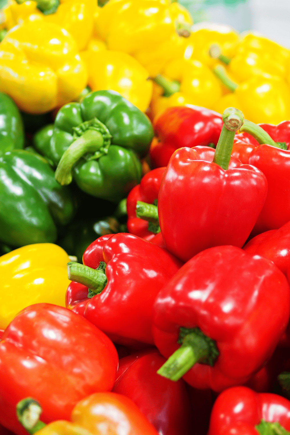 red green and yellow bell peppers