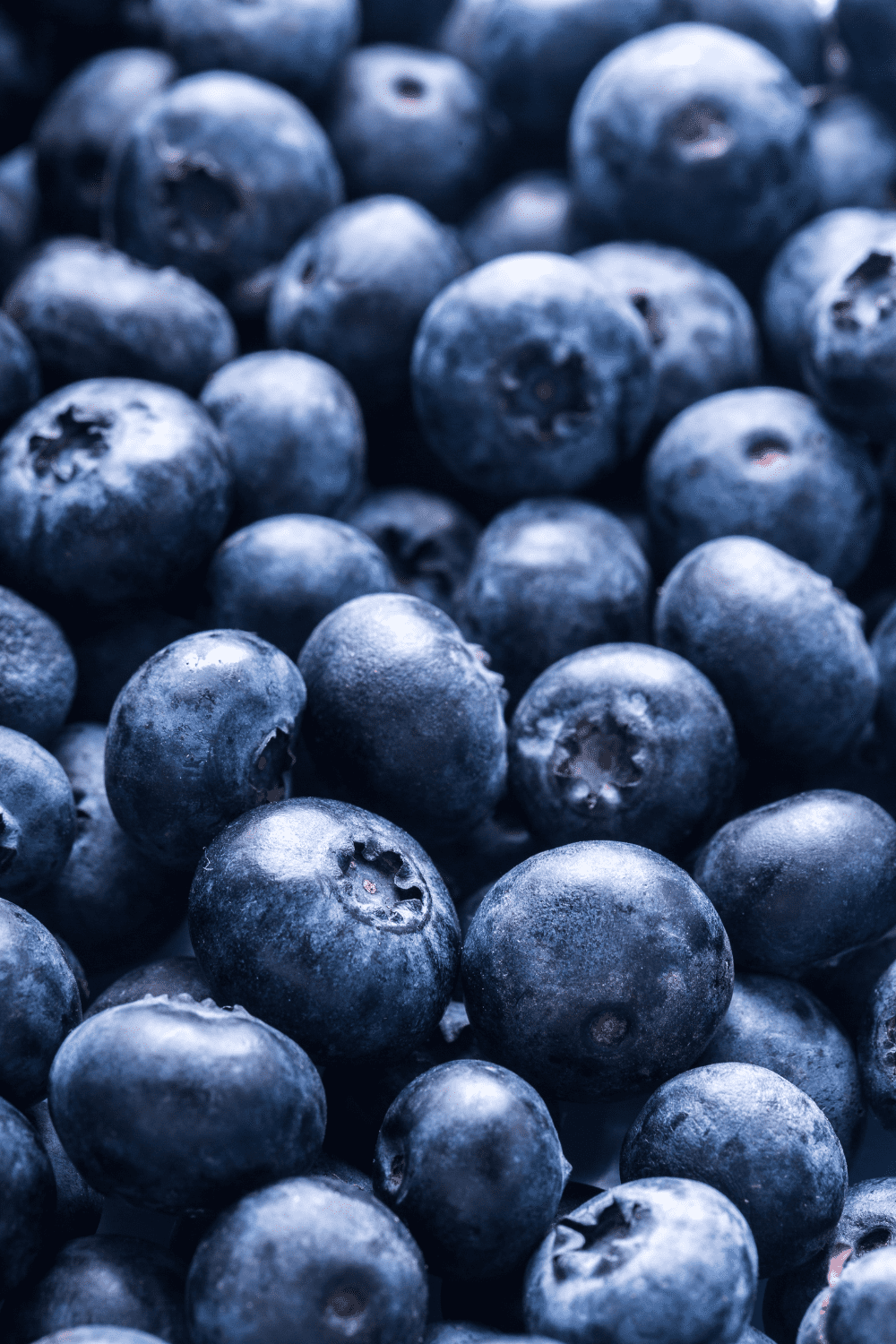 Blueberries