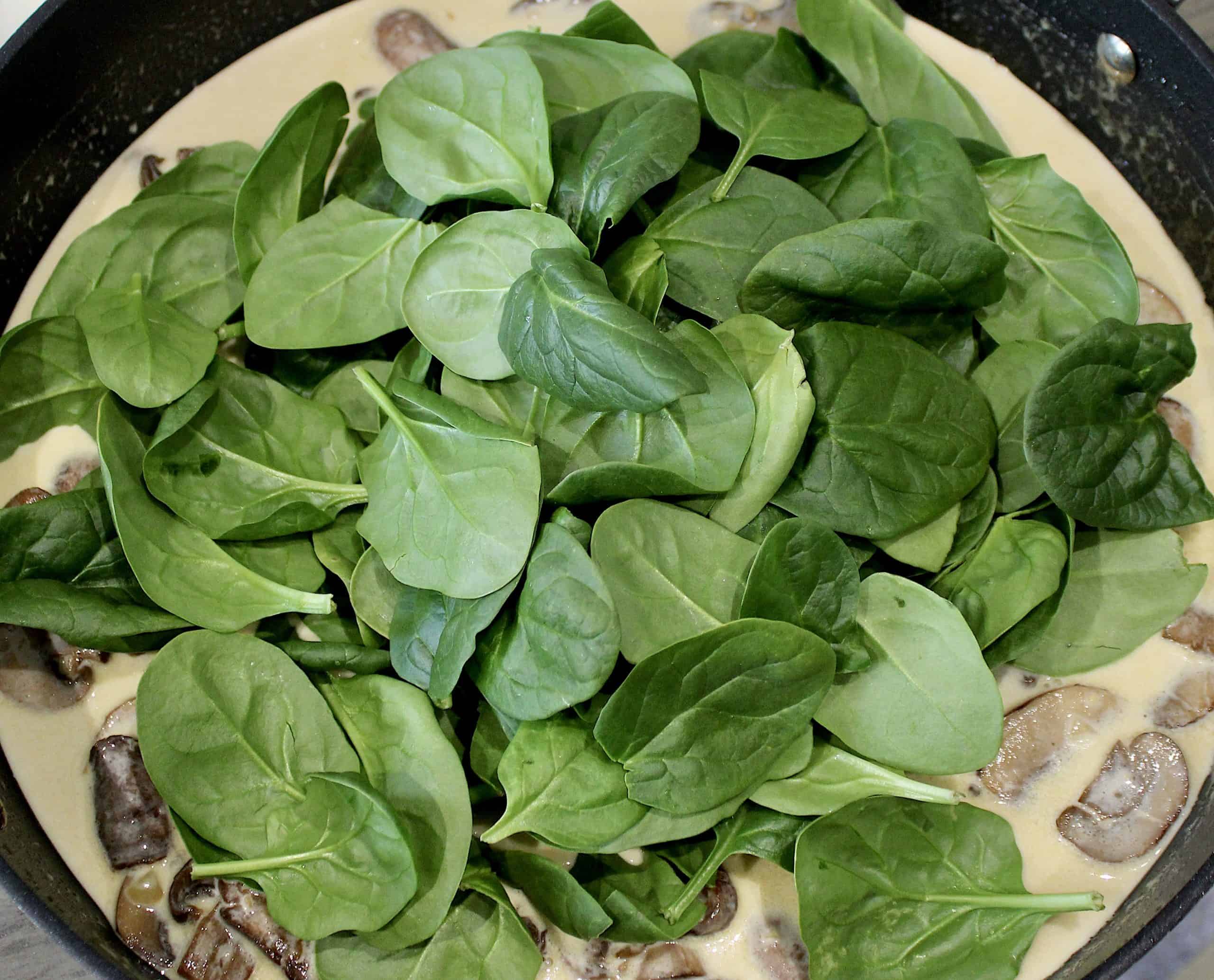 fresh spinach in skillet with cream sauce and mushrooms