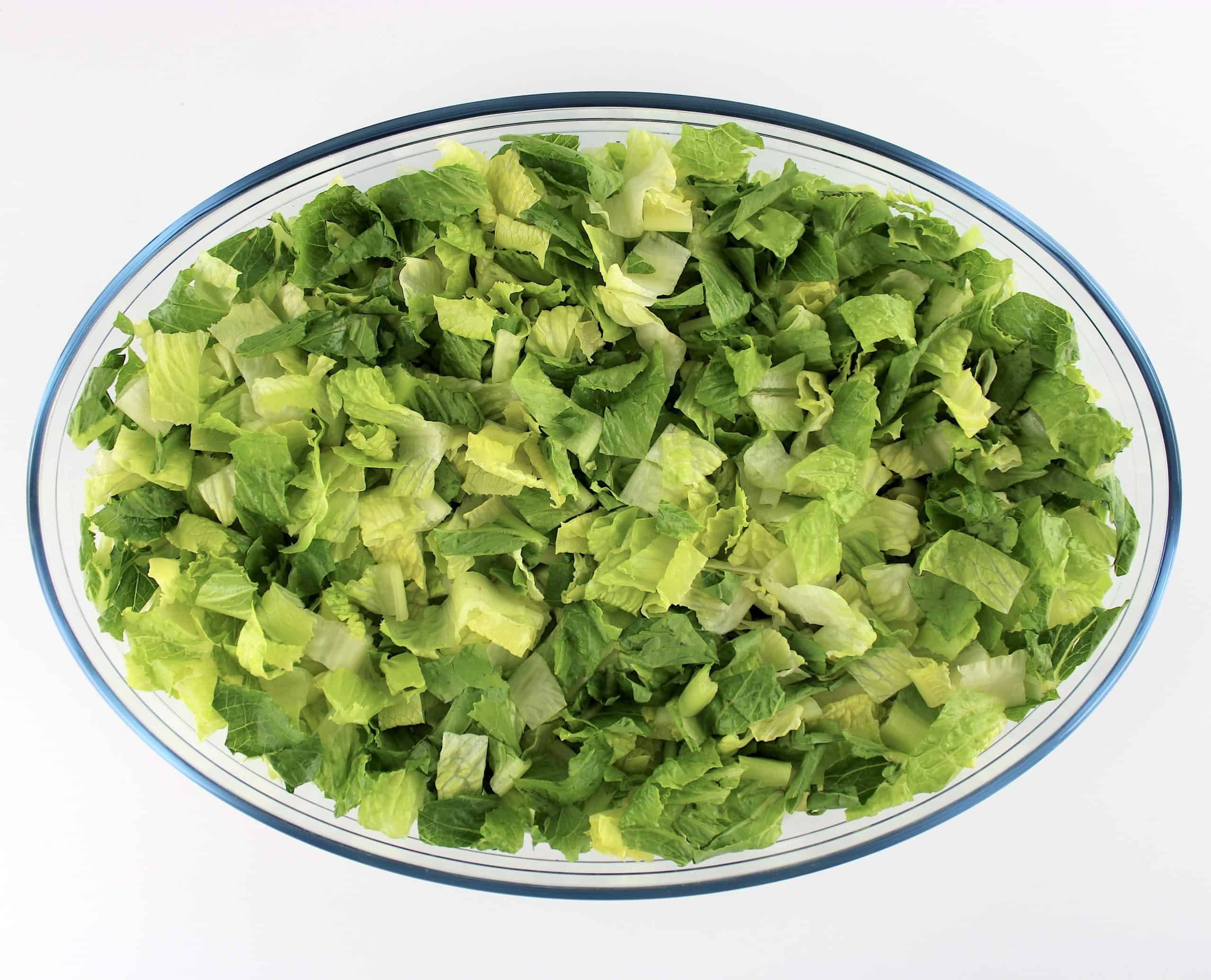 chopped romaine lettuce in oval glass bowl