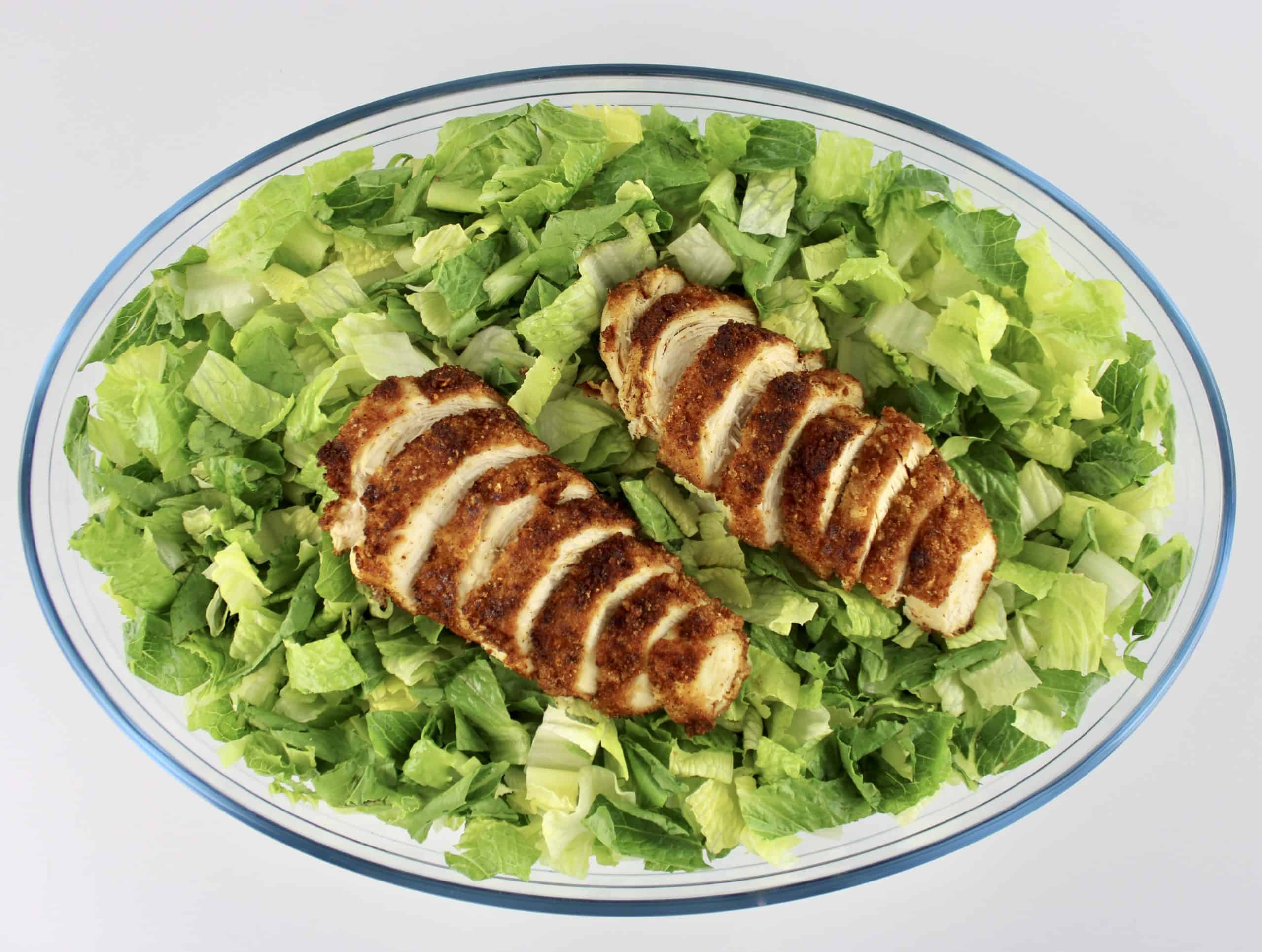 chopped romaine lettuce and 2 sliced chicken breast on top in oval glass bowl