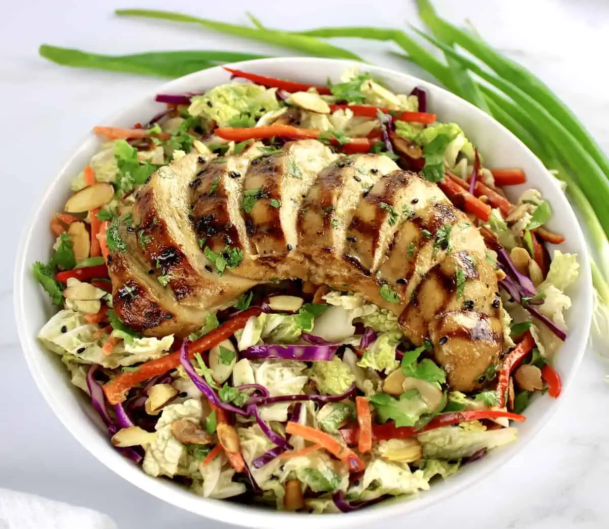 Asian Chicken Salad with chicken sliced and fanned out over top