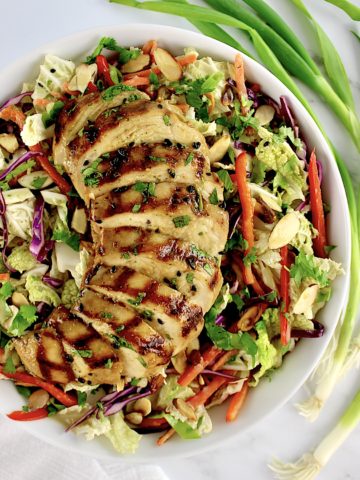 Asian Chicken Salad with chicken sliced and fanned out over top