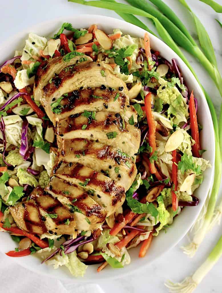 Asian Chicken Salad with chicken sliced and fanned out over top