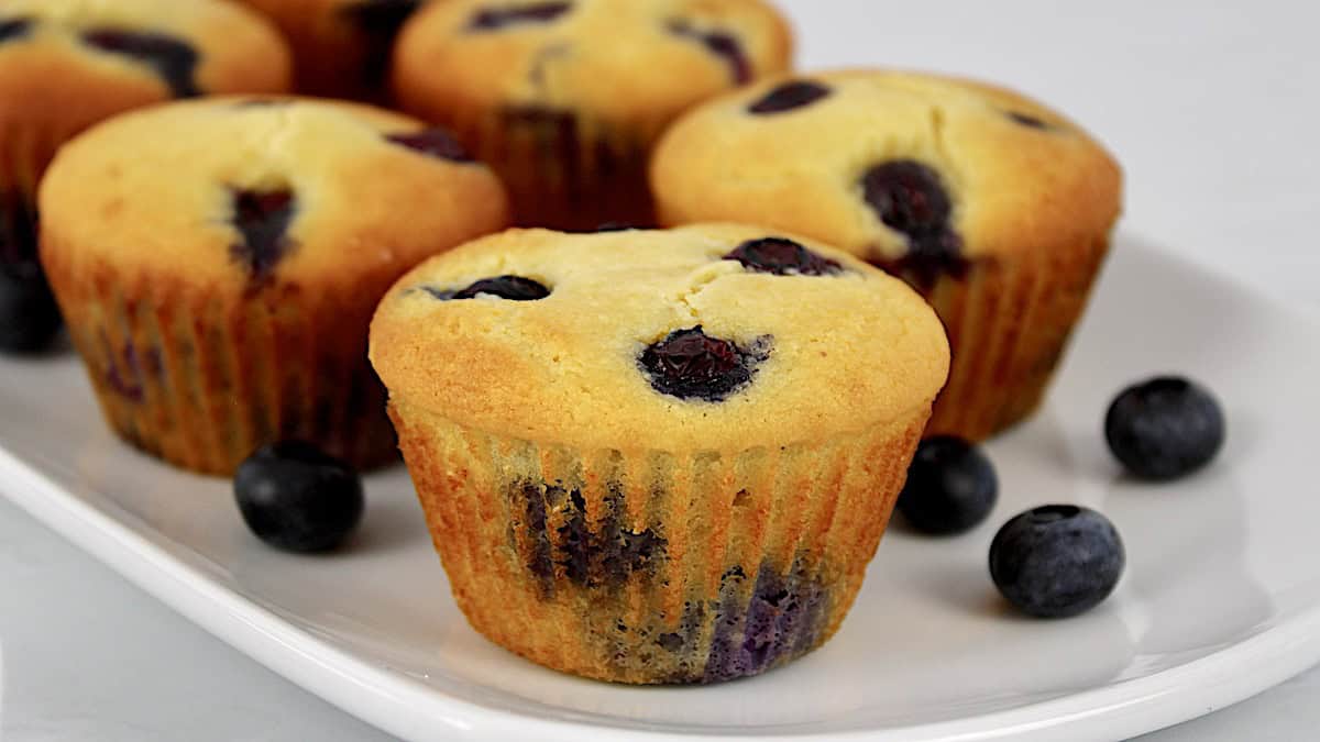 closeup of Keto Blueberry Muffins on white plate with fresh blueberries on side