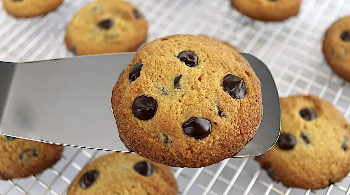 Keto Chocolate Chip Cookie on silver spatula