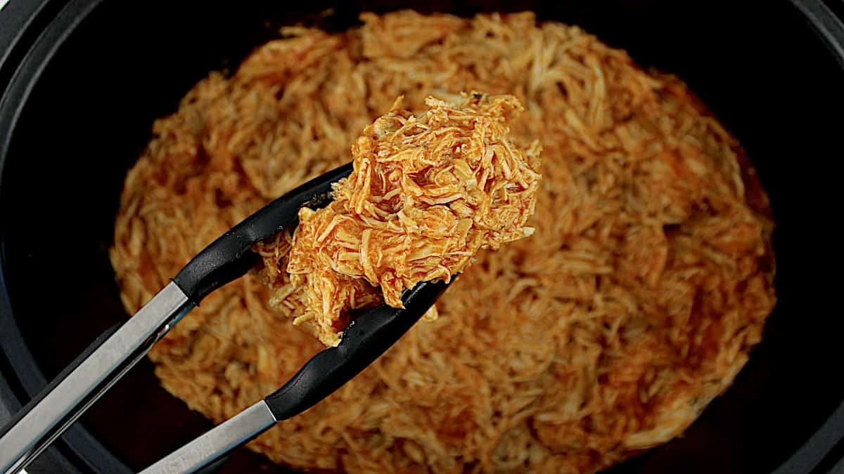 Slow Cooker Buffalo Chicken held up with black tongs over crockpot