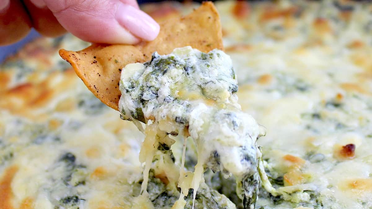 Spinach artichoke dip with tortilla chip dipping in and pulling cheese up