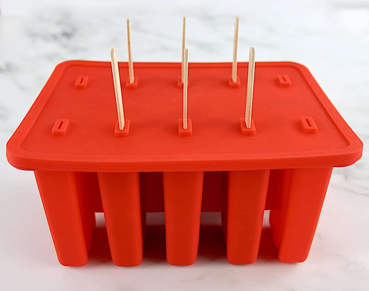 red popsicle mold with lid and 6 popsicle sticks