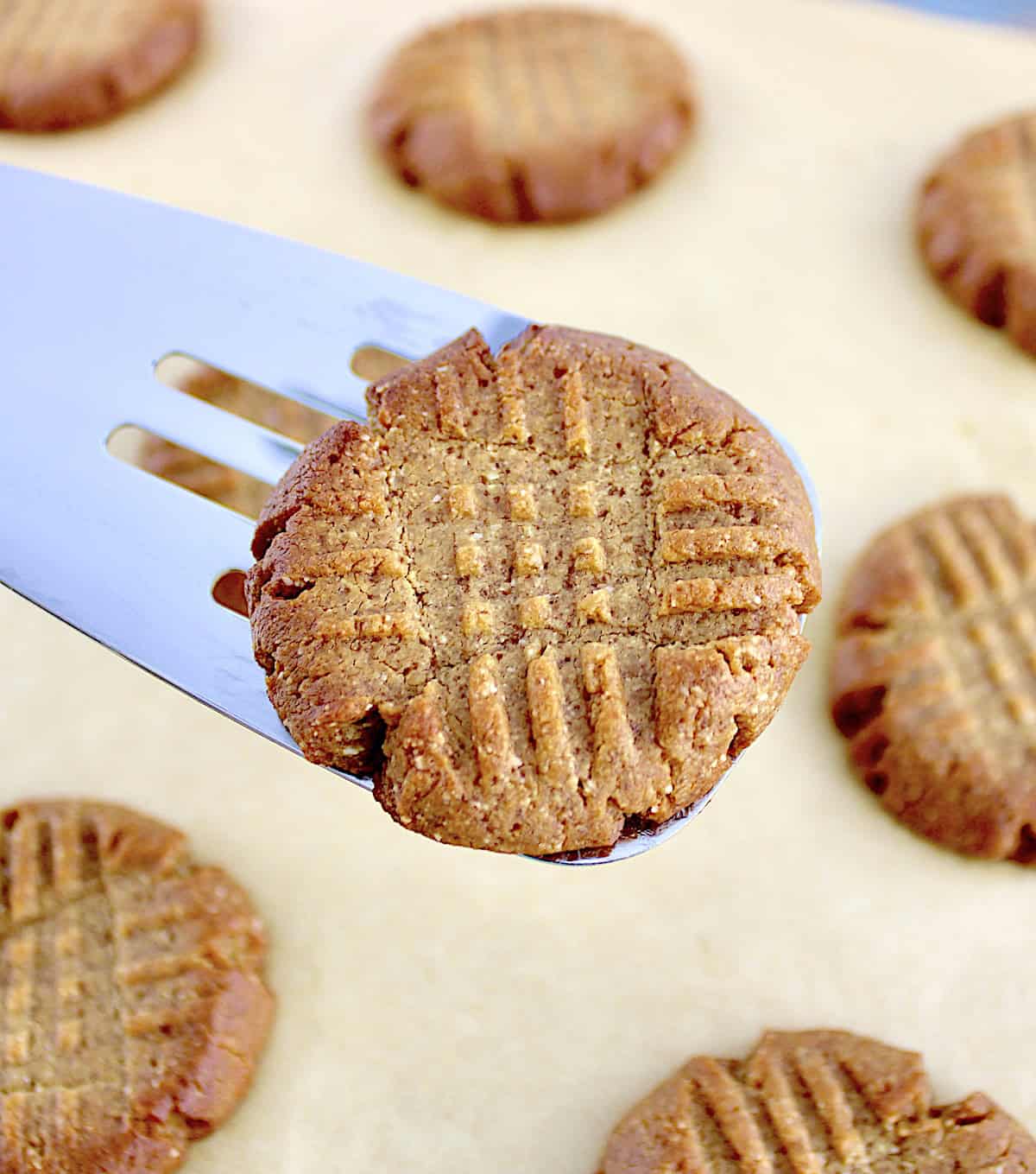 Easy Peanut Butter Cookie being held up by silver spatula