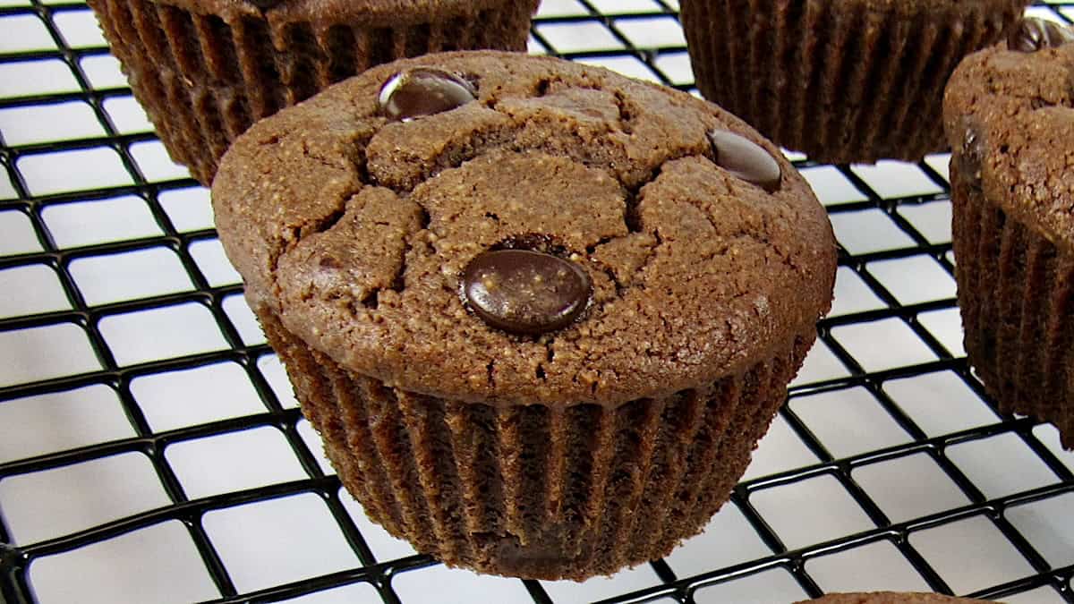 closeup of chocolate muffins on cooling rack