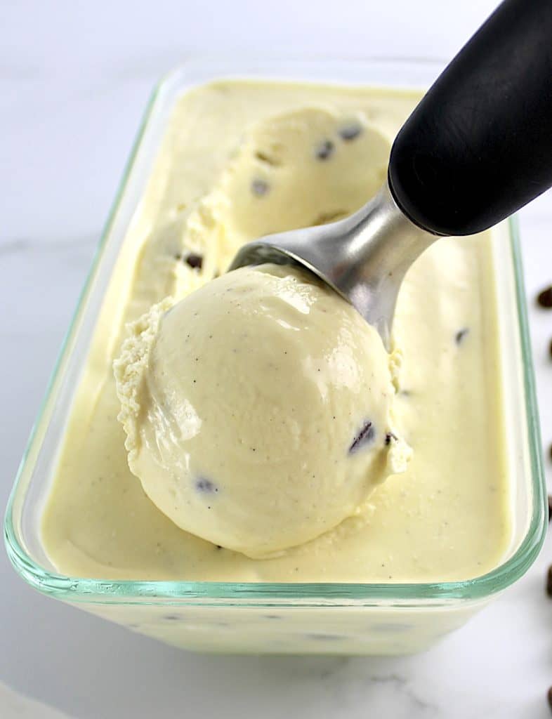 Vanilla Chocolate Chip Ice Cream in glass container with scoop