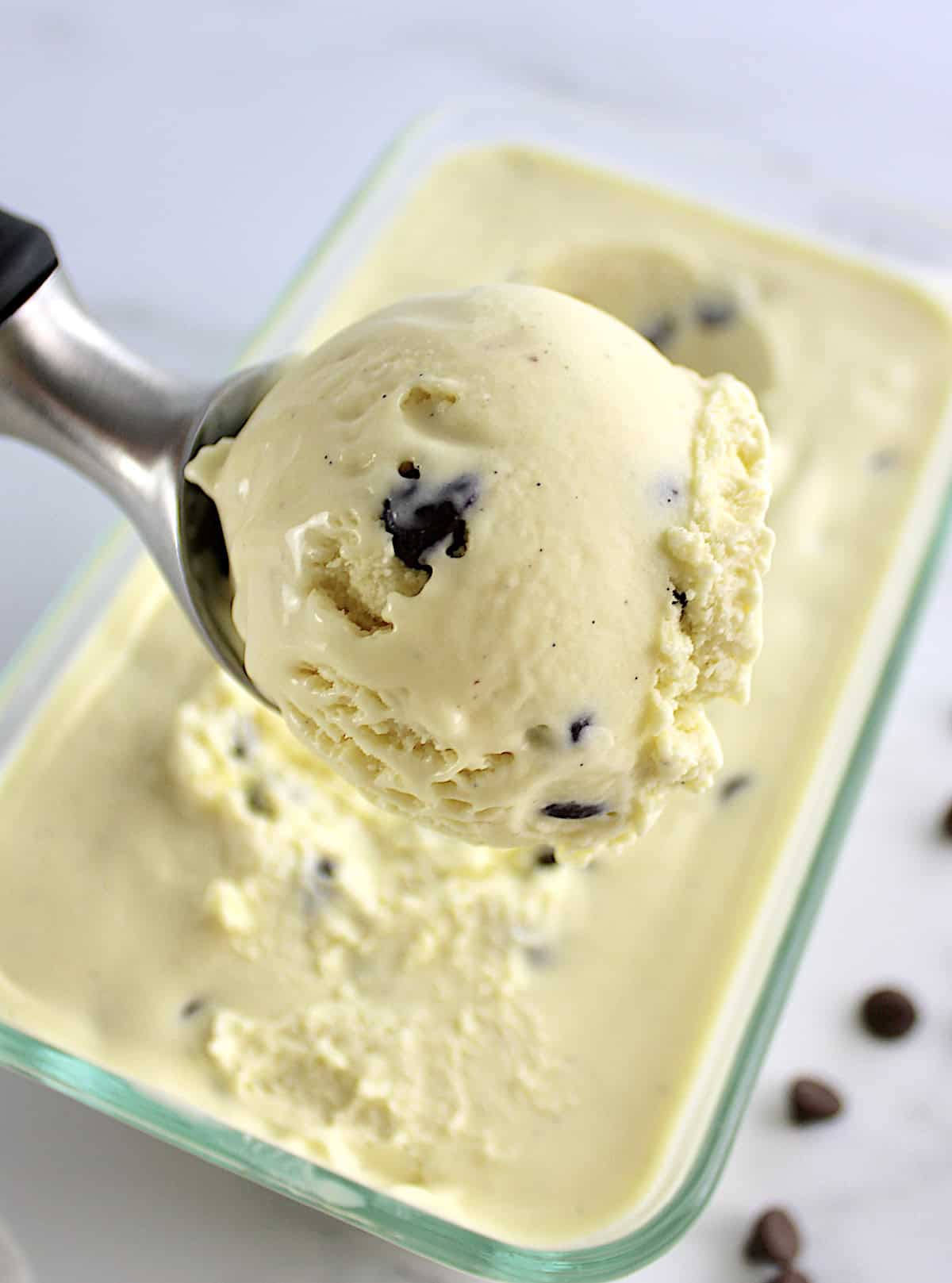 Vanilla Chocolate Chip Ice Cream in scoop