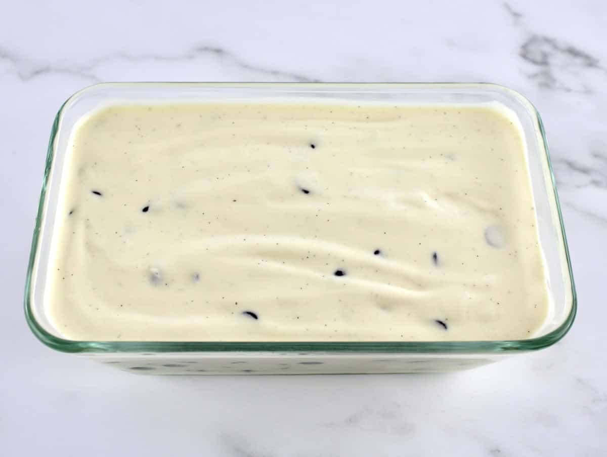 Vanilla Chocolate Chip Ice Cream in rectangular glass container