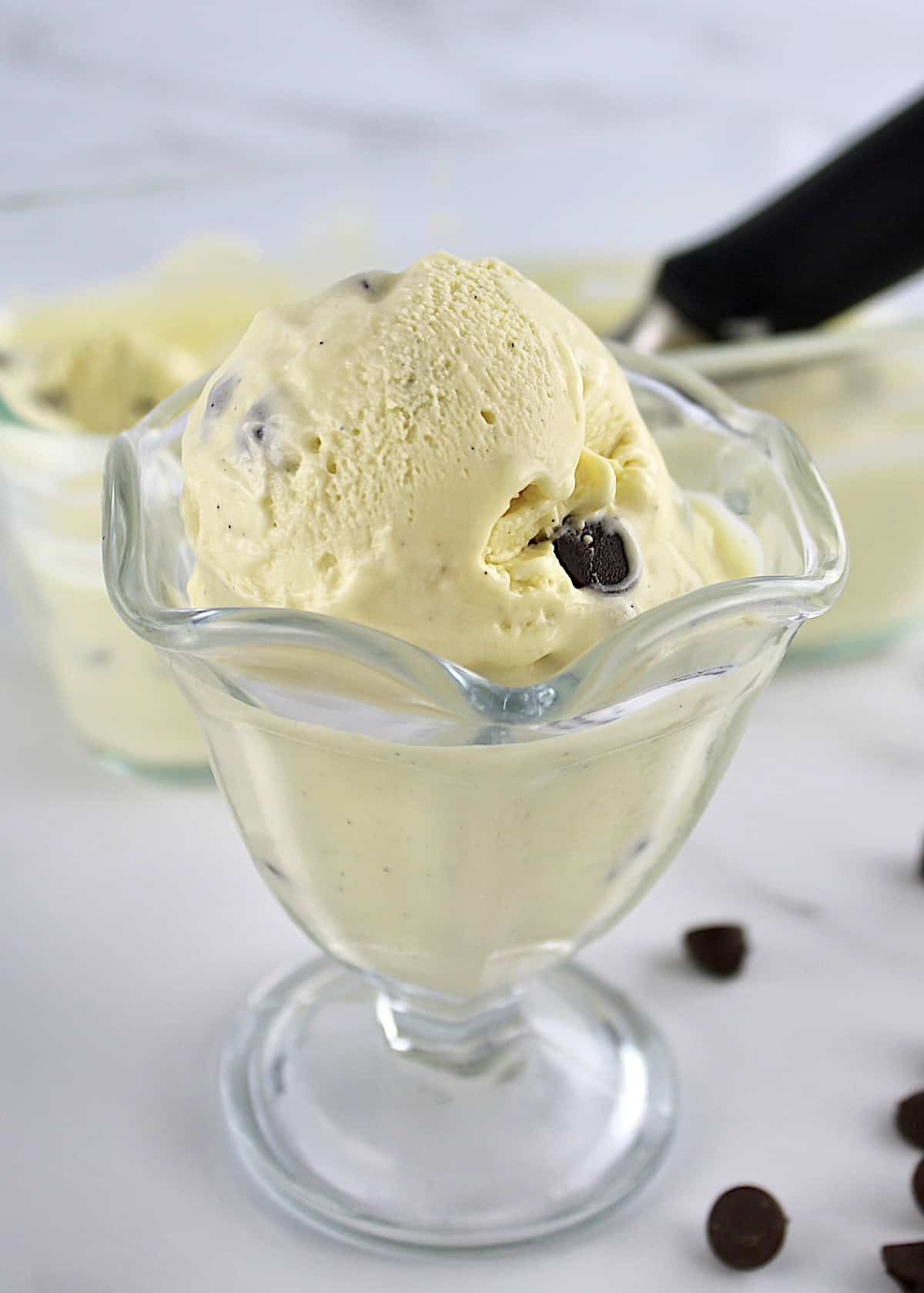 Vanilla Chocolate Chip Ice Cream in glass dish with more ice cream and scooper in back