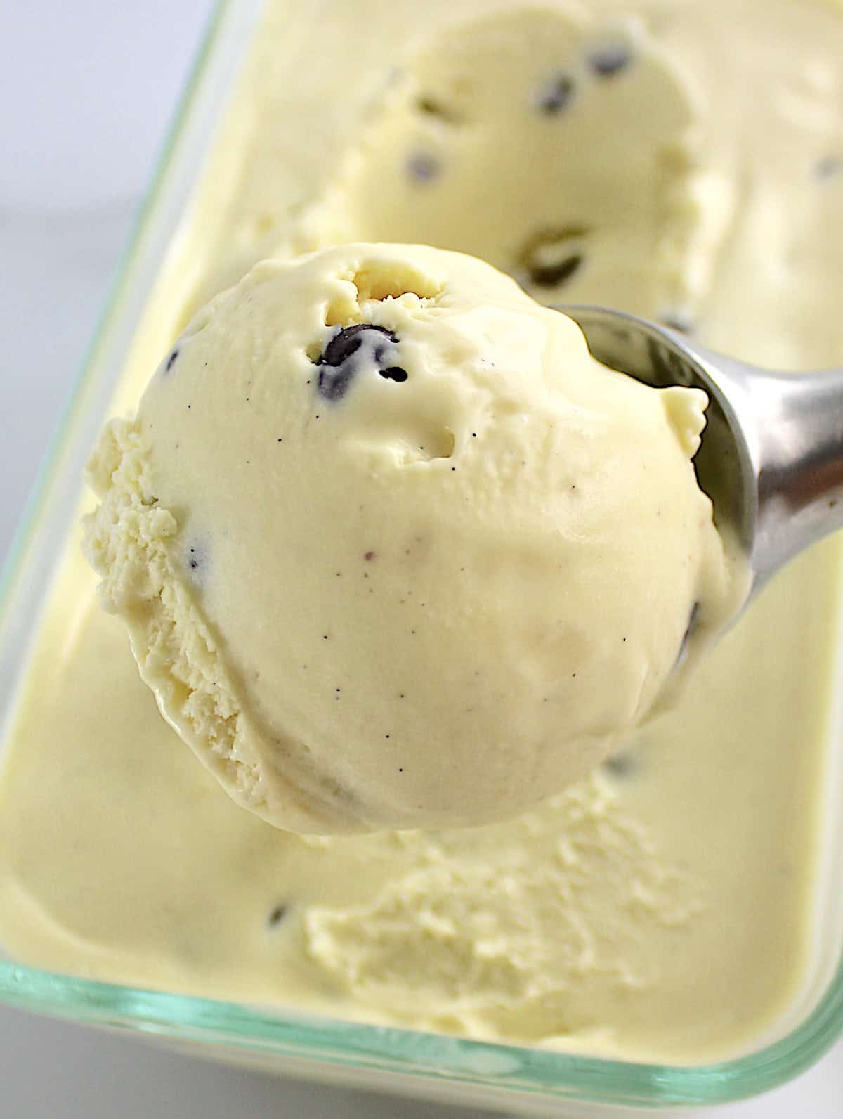 Vanilla Chocolate Chip Ice Cream in scoop