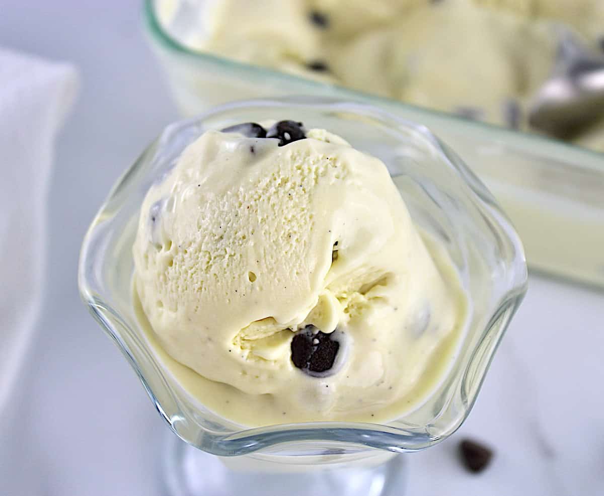 Vanilla Chocolate Chip Ice Cream in glass dish with more ice cream and scooper in back