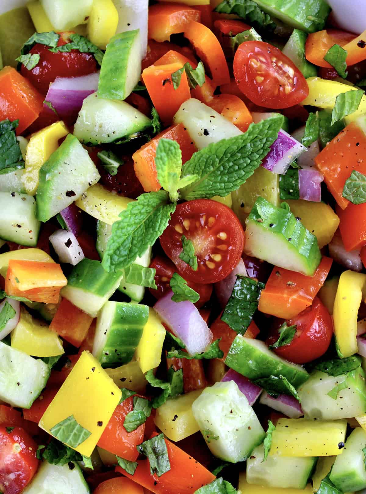 closeup of Israeli Salad with sprig of fresh mint in center