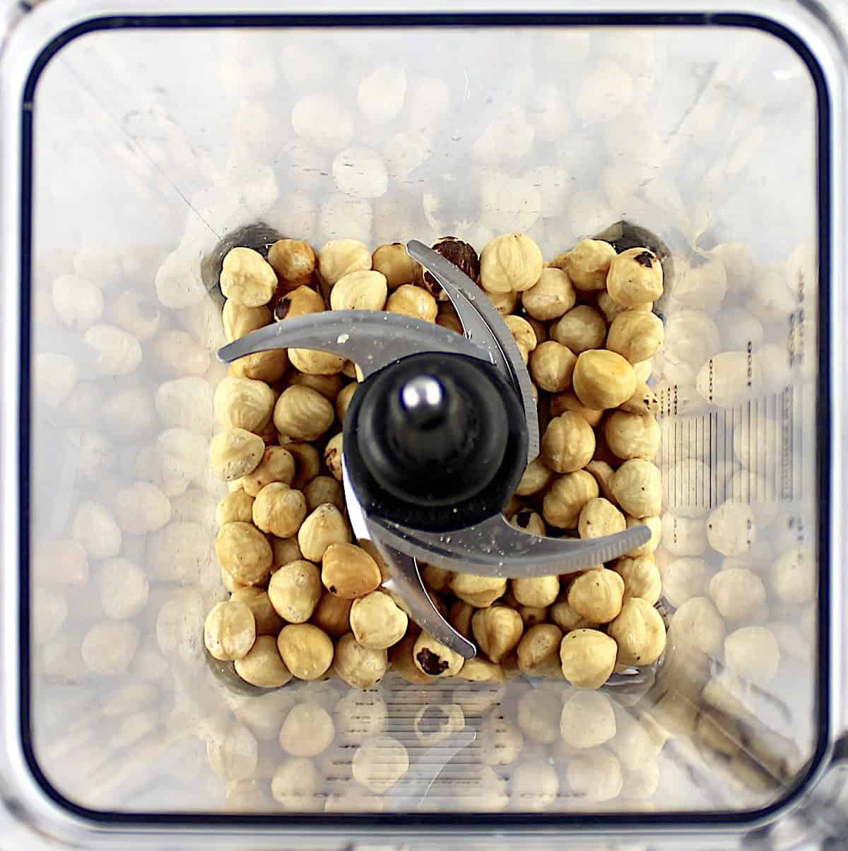 toasted hazelnuts in blender bowl