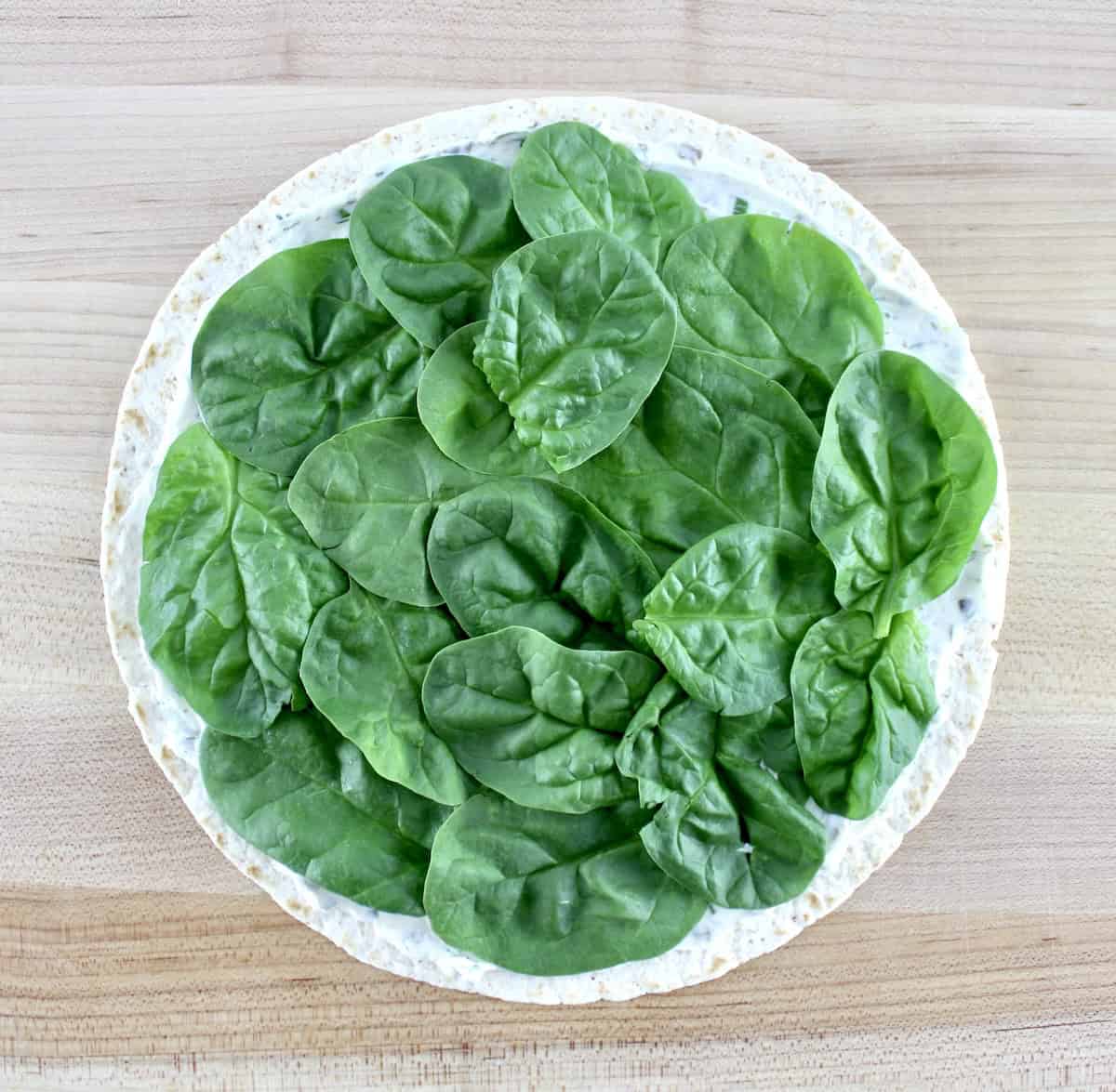 baby spinach leaves over tortilla with cream cheese spread