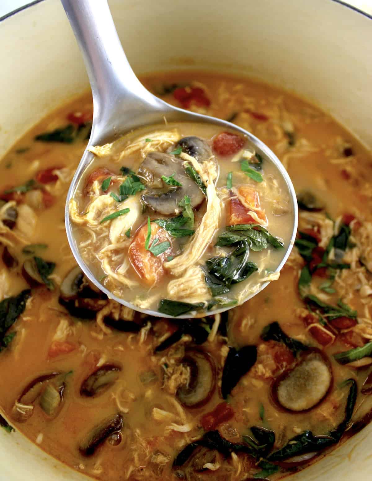 Tuscan Chicken Soup in pot being ladled 